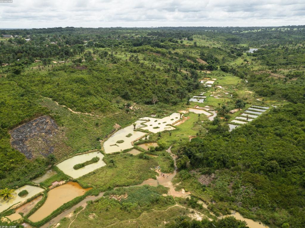 វិធីថ្មីសម្រាប់ការបង្កើនចំណូលពីការបាញ់ត្រី