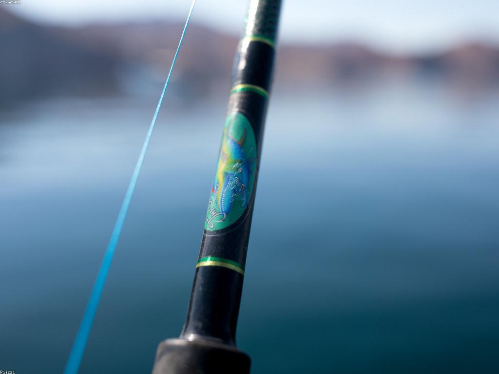 យុទ្ធសាស្ត្រចំណូលពីការបាញ់ត្រី: ការបង្កើនសមត្ថភាពនិងអត្រាចំណេញ