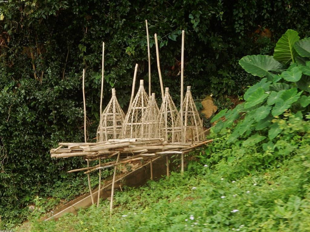 ឧបករណ៍បាញ់ត្រី៖ ដំណោះស្រាយសម្រាប់អ្នកស្រឡាញ់ការប្រកួតត្រី