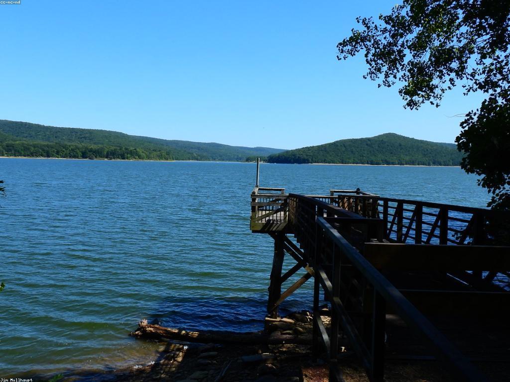 កន្លែងបាញ់ត្រីល្អ