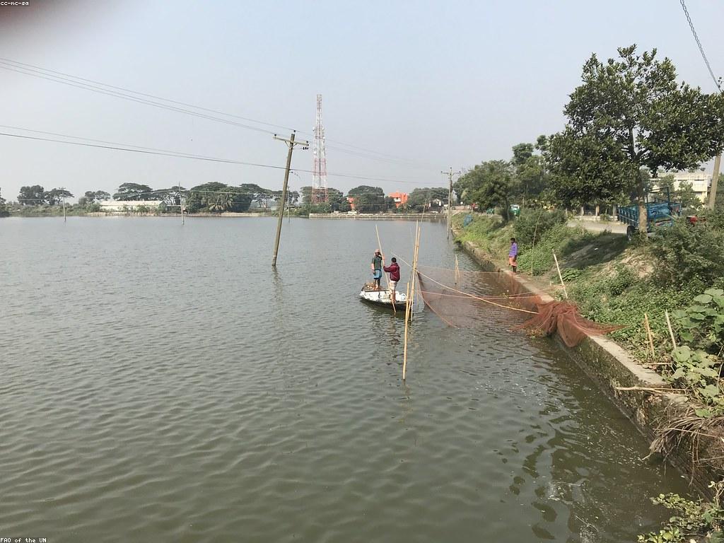 គន្លឹះបាញ់ត្រីដែលសំរាប់អ្នកមានបទពិសោធន៍