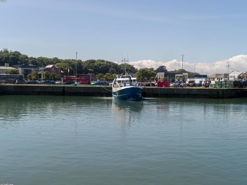 យុទ្ធសាស្ត្រចំណូលពីការបាញ់ត្រី: ការបង្កើនសមត្ថភាពនិងអត្រាចំណេញ