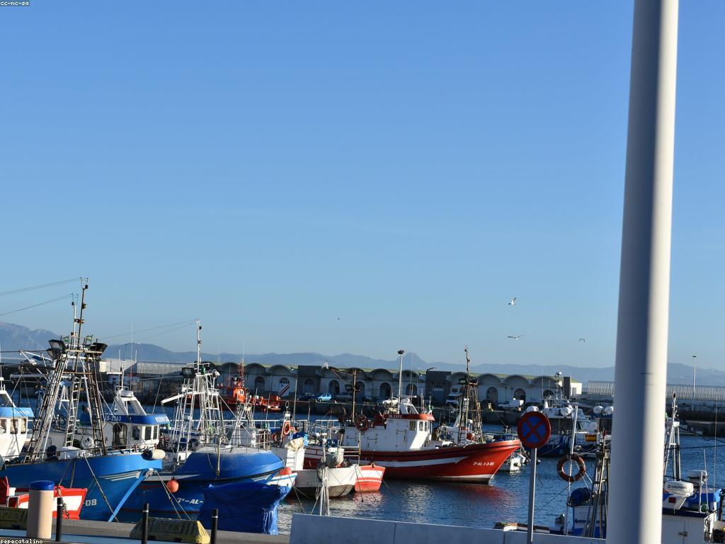 គន្លឹះបាញ់ត្រី៖ បច្ចេកទេសនិងការពារការបាញ់ត្រី