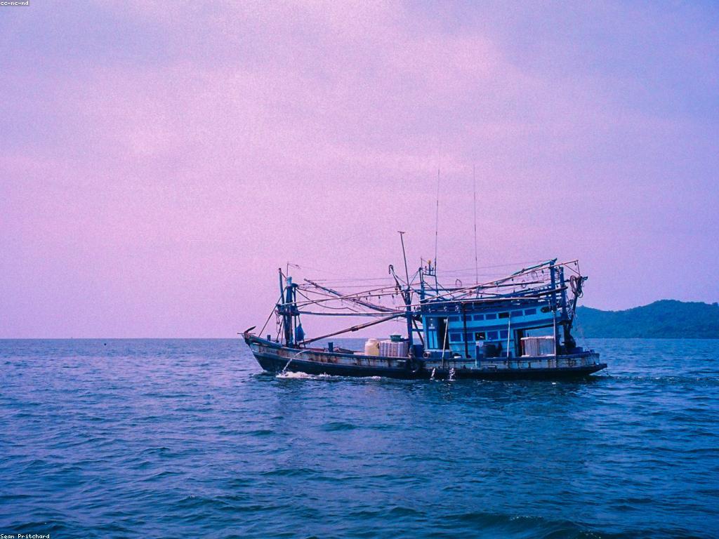 គន្លឹះបាញ់ត្រី: ការប្រើប្រាស់ និងយុទ្ធសាស្ត្រ