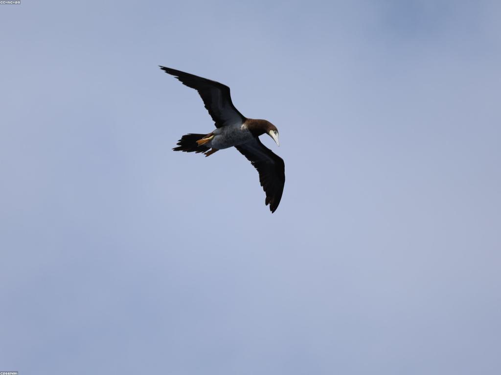 កន្លែងបាញ់ត្រីល្អសម្រាប់អ្នកស្រឡាញ់ត្រីនៅកម្ពុជា